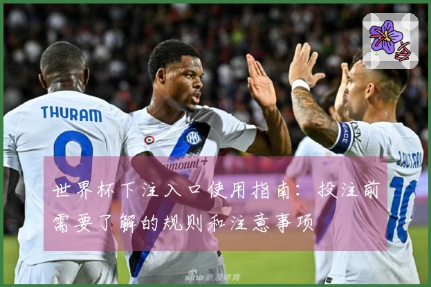 世界杯下注入口使用指南：投注前需要了解的规则和注意事项